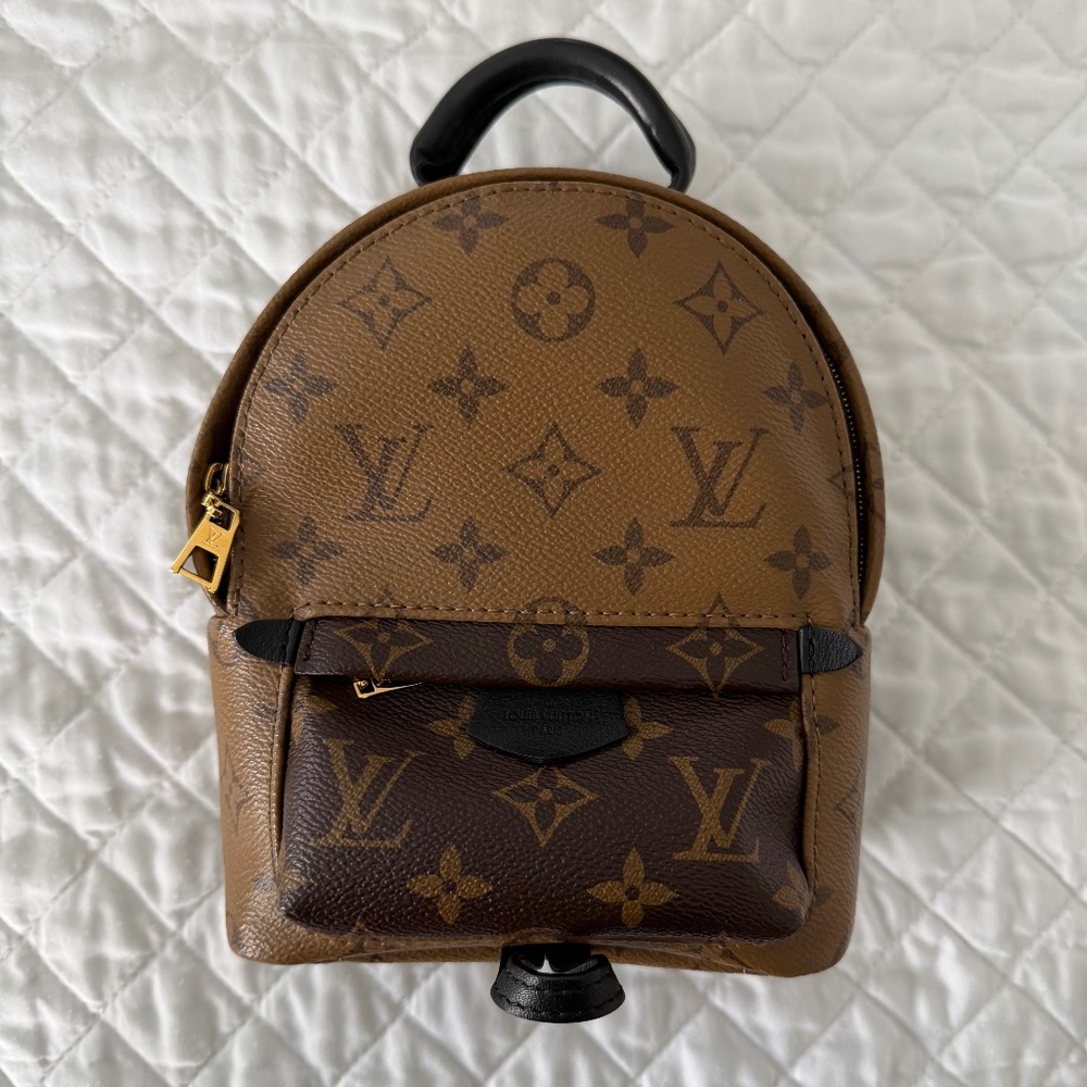 Louis Vuitton Palm Springs Mini Backpack